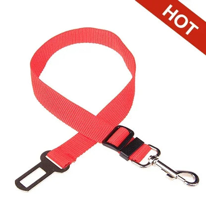 Dog Collar Seatbelt Attachment