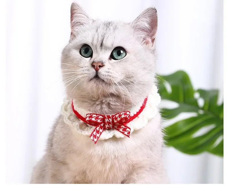 Hand-Knitted Collar for Cats