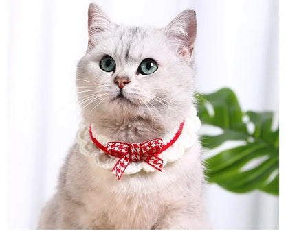 Hand-Knitted Collar for Cats