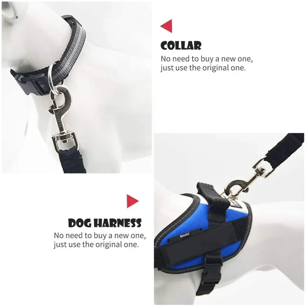 Dog Collar Seatbelt Attachment