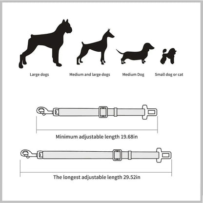 Dog Collar Seatbelt Attachment