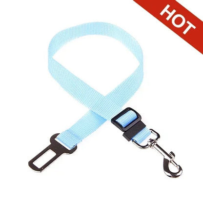 Dog Collar Seatbelt Attachment