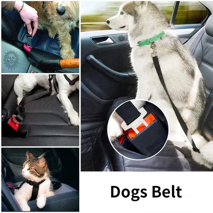 Dog Collar Seatbelt Attachment