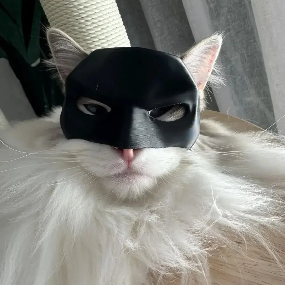 Cat Batman Mask