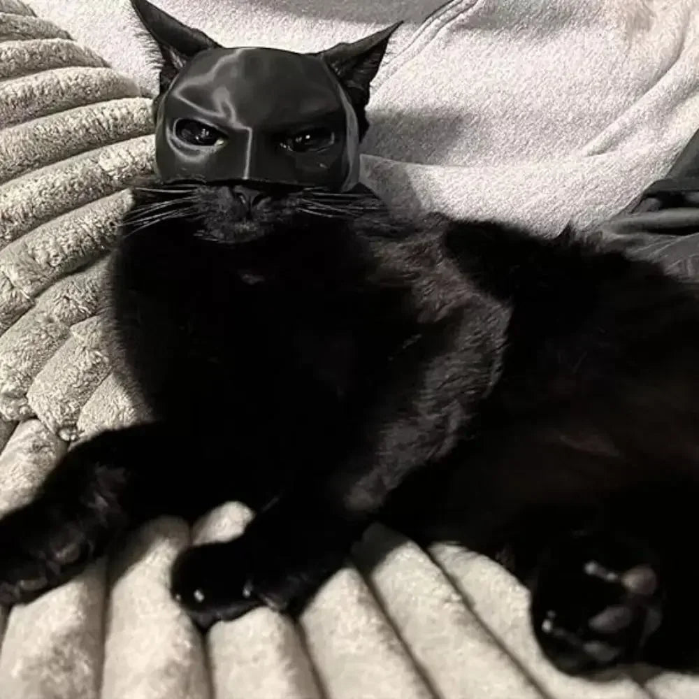 Cat Batman Mask