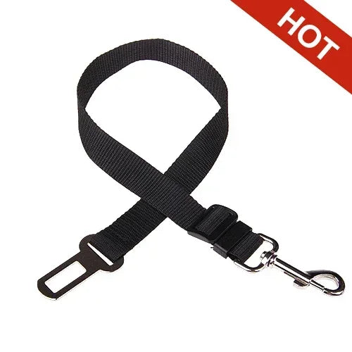 Dog Collar Seatbelt Attachment