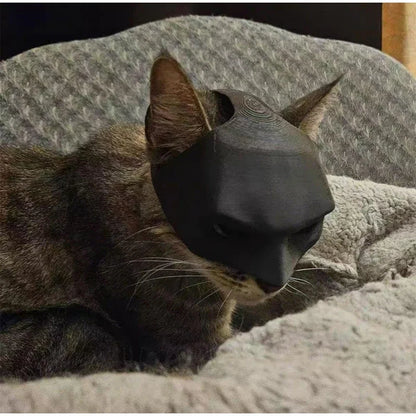 Cat Batman Mask