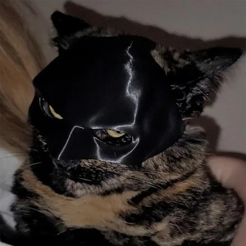 Cat Batman Mask