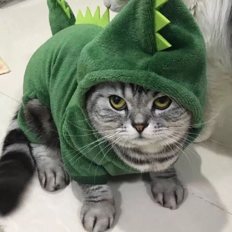 Animal Dragon Costume