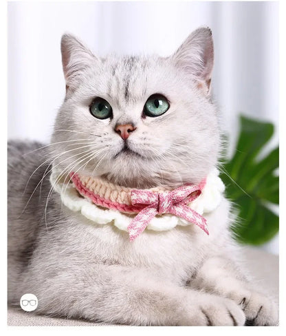 Hand-Knitted Collar for Cats