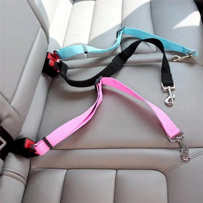 Dog Collar Seatbelt Attachment