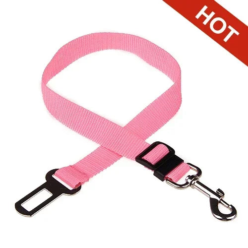 Dog Collar Seatbelt Attachment