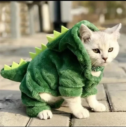 Animal Dragon Costume