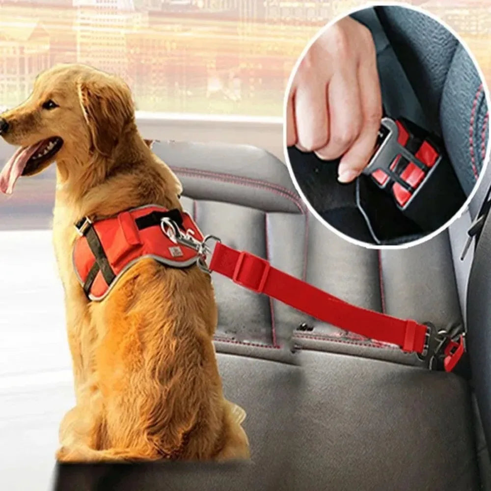 Dog Collar Seatbelt Attachment