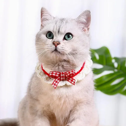 Hand-Knitted Collar for Cats