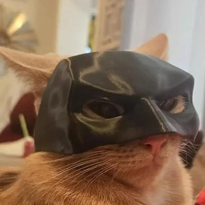 Cat Batman Mask